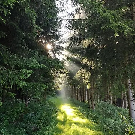 Friedlhof بيت خشبي Langschlag (Gross Gerungs)