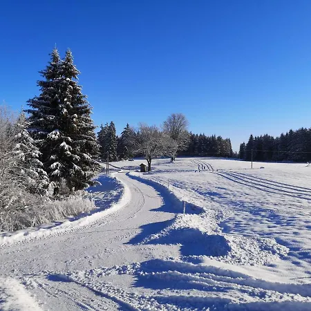 Friedlhof