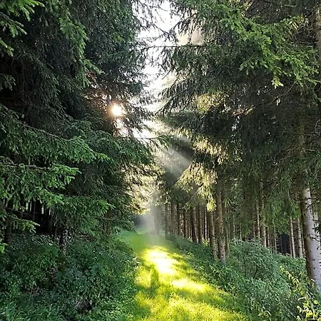 Friedlhof Langschlag (Gross Gerungs)