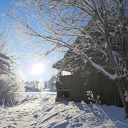 Lodge Friedlhof *