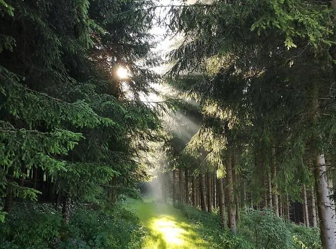 Friedlhof Lodge Langschlag (Gross Gerungs)