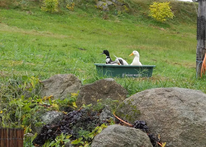 Friedlhof Lodge Langschlag (Gross Gerungs)