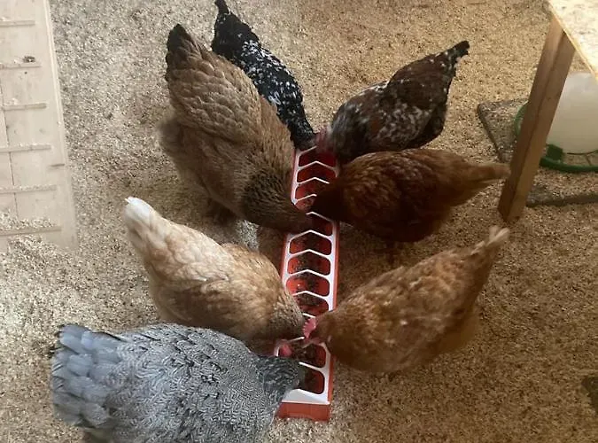 Friedlhof Langschlag (Gross Gerungs)